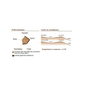 Chocolat Favorites Mi-amère 58% pistoles 5 kg 7