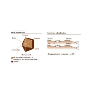 Chocolat lait origine Ghana 40,5% 1 kg 7