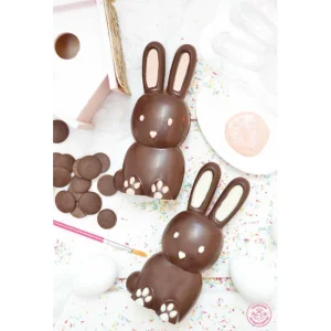 Moule 3D Chocolat Lapin Scrapcooking 12