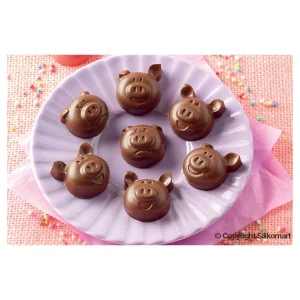 Moule à Chocolat 15 Cochons Easy Choc – Silicone Spécial Chocolat 7