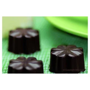 Moule à Chocolat 15 Fleurs Easy Choc – Silicone Spécial Chocolat 7