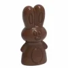 Moule à Chocolat Lapin (x16) Chocolate World 7