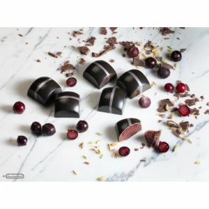 Moule Chocolat Carré Bombé 25,5 mm (x24) Chocolate World 12