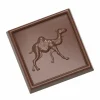 Moule Chocolat Carré Dromadaire 34mm (x21) Chocolate World 5