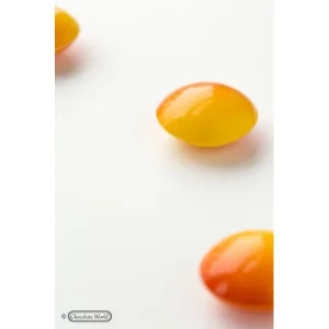 Moule Chocolat Lentille 3,5 cm (x21) Chocolate World 6