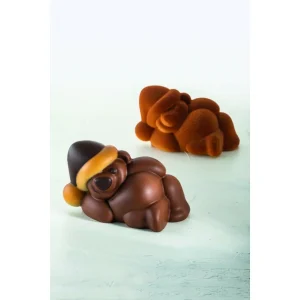 Moule Chocolat Ourson Teddy 18,5 x 11 cm x H 10,6 cm (x2) Pavoni 9