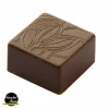 Moule Chocolat Praline Carrée Fève 2,5 cm (x24) Chocolat Form 7